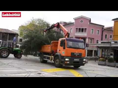 Božićna jelka obitelji Šumberac