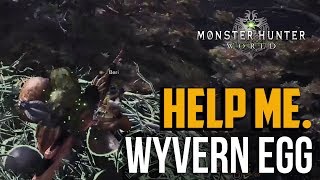 Monster Hunter World : Ancient Forest Wyvern Egg Location & How to Deliver