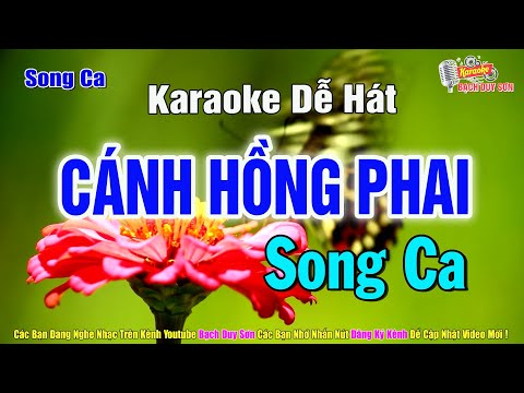 Karaoke Cánh Hồng Phai Song Ca | Bạch Duy Sơn