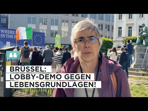 Brüssel: Lobby-Demo gegen unsere Lebensgrundlagen!