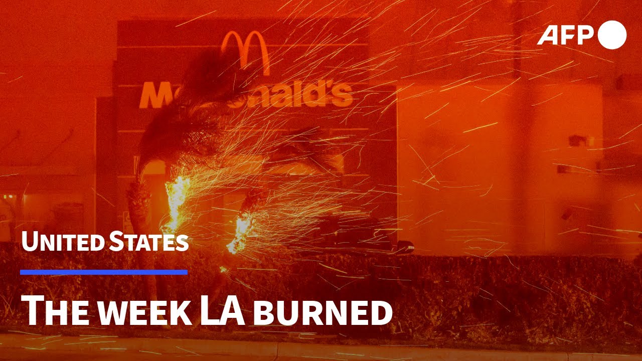 The week LA burned | AFP