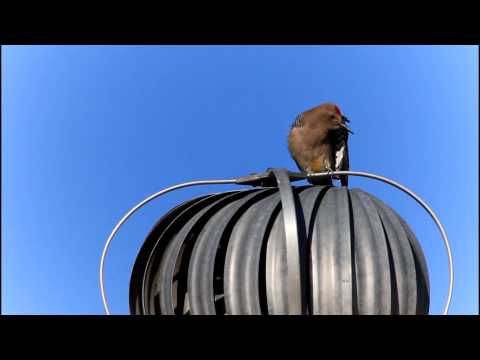 My 6:00 a.m. alarm clock