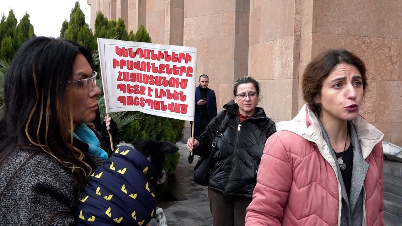 Բողոքի ակցիա՝ քաղաքապետարանի դիմաց