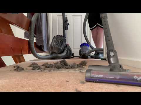 Dyson dc 19T2 animal vs Dyson dc 49