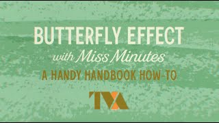 Season 2   Butterfly Effect