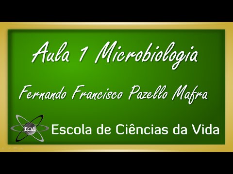 Sintomi dinfezione con helminths ad adulti Il prezzo di medicina da vermi a un gattino