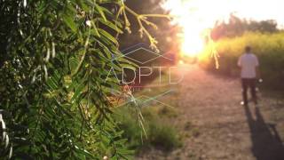 Pomo - Fall Together (feat. Harrison Brome)