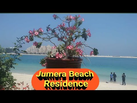 Dubai Parm Jumeirah Beach Residence HD Video