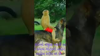 Download lagu November 27, 2022 mp3