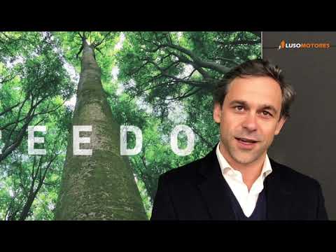 Grupo FCA explica estratégia com rede de concessionários