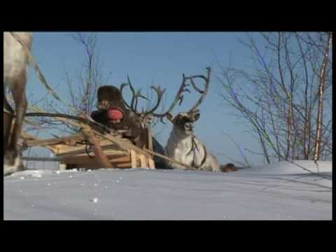 My Reindeer - trailer