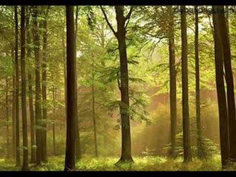 Evenstar Lyrics (elvish)