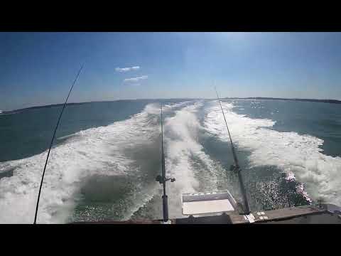 Starfisher 840 passing Bramble Bank, Solent. offshoreoutlaws.co.uk