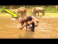 Man Saves Drowning Baby Elephant, Then the Herd Does Something Unexpected