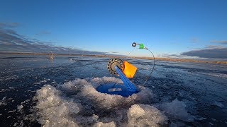 Первый лед 2019 2020 рыбалка на жерлицы