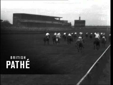 The Cesarewitch Aka French Horses Wins Cesarewitch (1946)