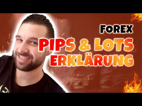 What are pips/lots/leverage? Beginner's Explanation Tutorial - How to Become a Forex Trader