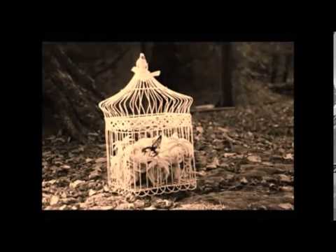 Happy BirThday Mr FaDy