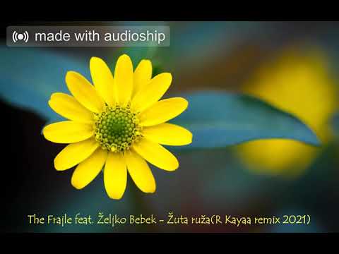 The Frajle feat. Željko Bebek - Žuta ruža (R Kayaa remix 2021) #žutaruža #željkobebek #remix
