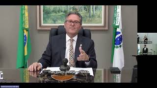 Laços e Afetos 2 anos