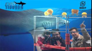 DIA 2 Expo Tiburon117