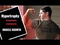 Upper Body Workout For Fast Muscle Growth (Hypertrophy Workout!)