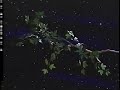 Barney And Friends Twinkle Twinkle Little Star ️