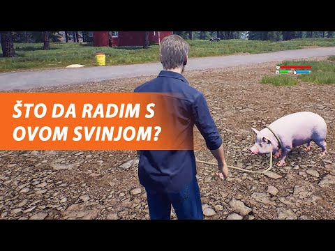 POKREĆEMO OZBILJAN BIZNIS NA SELU - Ranch Simulator (EP3)