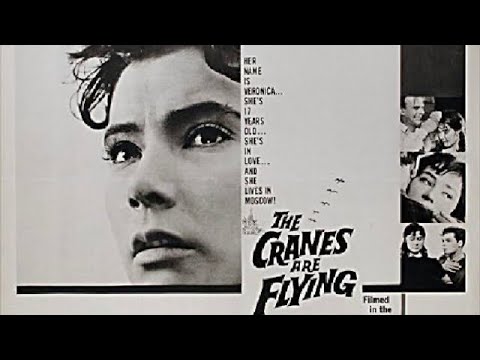 PETER BRADSHAW reviews THE CRANES ARE FLYING