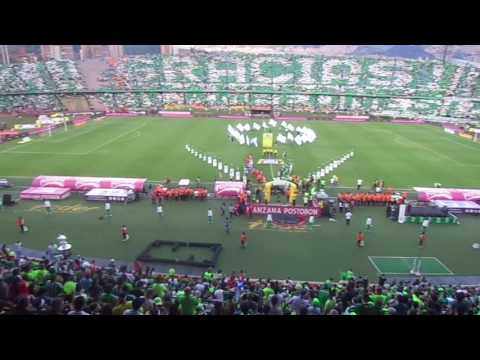 "RECIBIMIENTO DÃA DEL HINCHA VERDOLAGA" Barra: Los del Sur • Club: Atlético Nacional