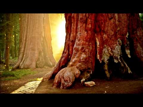 De Nuit - All That Mattered (Junior Jack Instrumental)