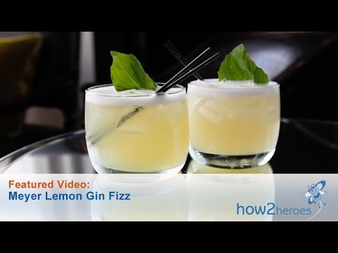 download lagu mp3 mp4 Meyer Lemon Gin, download lagu Meyer Lemon Gin gratis, unduh video klip Meyer Lemon Gin