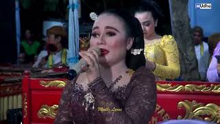 Download lagu sesideman//karawitan mudho laras//wilis//tomo//live cokek sragenan mp3