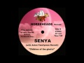 Senya & Aston Familyman Barrett - Children Of The Ghetto - (RARE).
