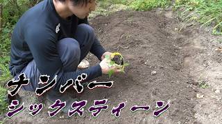 わいのクラフト【#16】畑で野菜作り　2026年