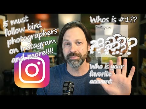 5 Must Follow IG Accounts (AND MORE) for Bird Photographers - The U.S. Edition