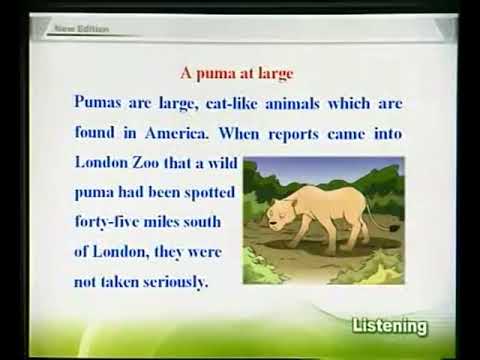新概念英語3：第一課【Puma逃脫】！ (3 new concept english 01 新概念英语第三册第1课:A Puma at large)