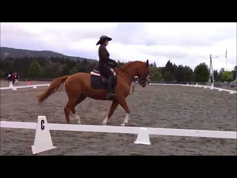 Musical Freestyle Excel Dressage