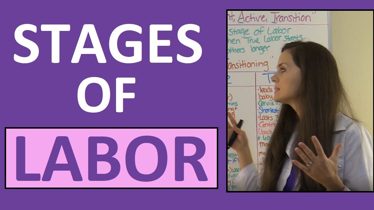 Stages of Labor Nursing OB for Nursing Students | Stages of Labour NCLEX Explained Video Lecture