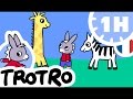 TROTRO - 1 heure - Compilation #01
