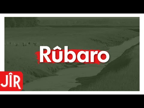 Jîr | Rûbaro (Official Audio)