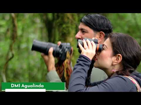 Explore Risaralda : Apía