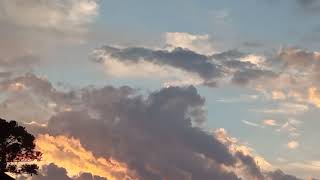 UM FINAL DE TARDE Maravilhoso ao Som de Pssaros #somdanatureza #somdepssaros #barulhodechuva