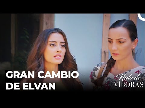 ¿Por Qué Creen Que Estarían A Mi Altura? - Nido De Víboras Capitulo 31 (Dobladas en Español)