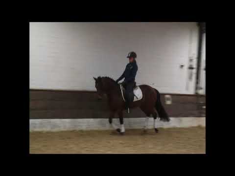 SWEET LITTLE NORMA JEAN 5j. DR v. Nuno - VB 3500,- Euro