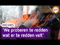 Grote brand in huis met rieten dak: 'We proberen te redden wat er te redden valt'