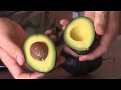 SMASHED AVOCADO KALE SALAD RECIPE