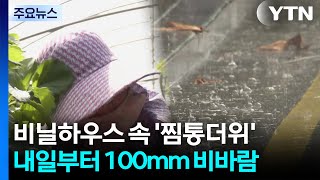 [날씨] 비닐하우스 속 '찜통 더위'...내일부터 비바람 '최고 100mm' / YTN
