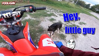 We Found a DOGE | Moto Compound Has SICK New Jumps