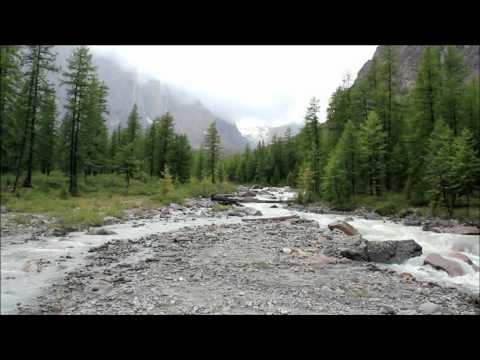 Смотреть видео Смотреть видео